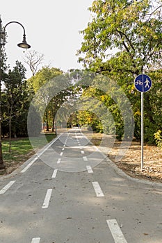 Road for pedestrians and bicycles, bike lane in the park, signposted