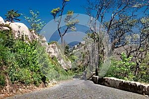 The road from Pena Castle to the Moors Castle in Sintra. The outskirts of Lisbon. Portugal