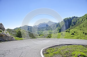 Road in Picos de Europa in Asturias,spain