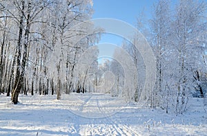Road in picturesque winter forest covered with hoarfrost
