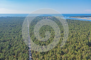 Road in a pine forest, Green, forest area on the coast of the Gulf of Finland,.  Summer day, view from a drone at the mouth of the photo