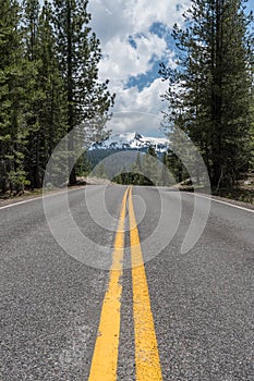 Road Through Pine Trees with Lassen Peak