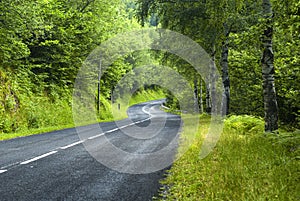 Road of Pirineos (Catalunya, Spain) photo