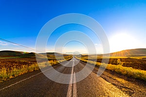 Road in the plain vanishing on the horizon and morning sun in summer