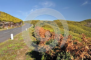 Road in Plateau of Parque natural de Madeira, Made