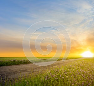 Road among a prairies at the sunset
