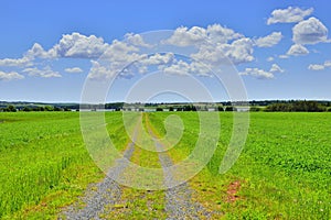 The road at Prince edward island