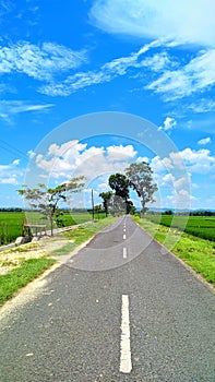 road in quiet rice fields