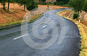Road after rain photo