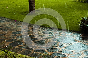 Road in rainy summer weather