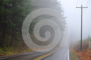 Road receding into fog