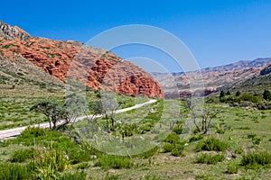 Road and red rocks in Kirgizstan photo