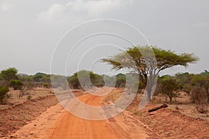 Road with red soil, landscape in Afrika