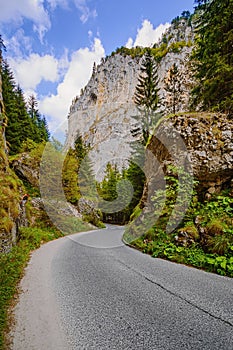 Road in Rhodope Mountains