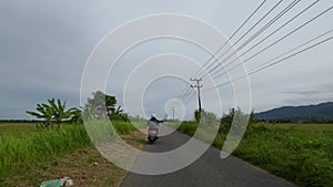 The road beside the rice fields