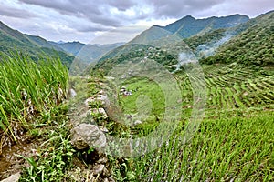 Road in rice paddy terrace fields Philippines