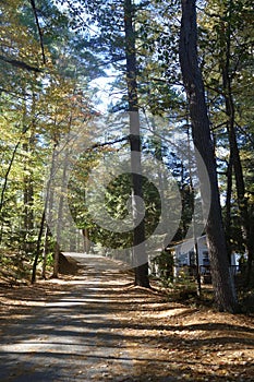 Road rising through woods on a sunny day in Maine lazy relax vacation remote