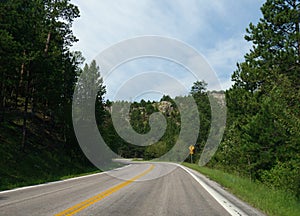 Road with a roadside sign and speed limit at Custer State Park, South Dakota