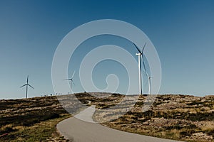 Road in a rocky landscape passing by giant wind turbines in yellow fields