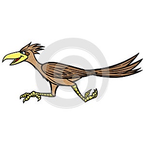 Road Runner