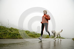 Strade correre il cane 