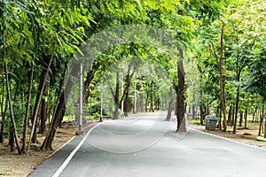 The road for running in the park with lots of trees