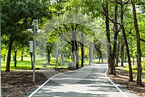 The road for running in the park with lots of trees