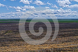 A road runs along the farm fields near Prosser, Washington, USA