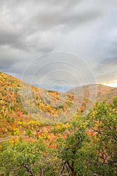 the road runs through the mountain and a forest with autumn colors