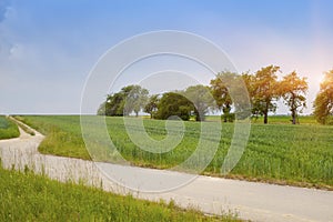 The road in rural areas in Germany, Bavaria, with brightly green fields and trees