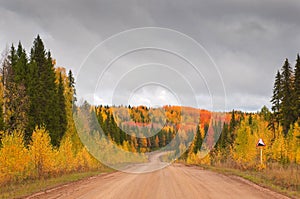 Road in russian taiga