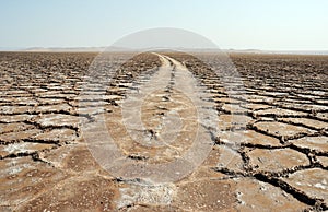 Road in salt flat polygons