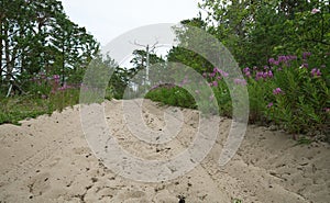 Road in the sand with tracks after tyres