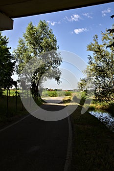 Road in the shade passing under a viaduct in the italian countryside in summer