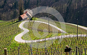 Road in a shape of a heart, Maribor