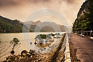 Road on the shore of a sea bay in famous Ha Long Bay during sunset with beautiful landscape. Cat Ba Island, Vietnam