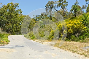 Road in Sicily