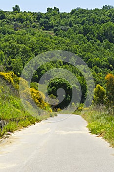 Road in Sicily