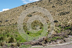 Road on the side of a mountain in the Antisana Ecological Reserve, Ecuador