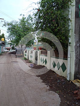 Road side photo with trees