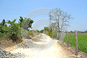 Road with side plant