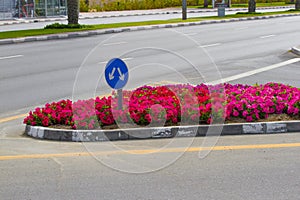 Road sign arrow. Fork junction traffic sign on road with flowerbed. Blue bifurcation sign with two arrows.