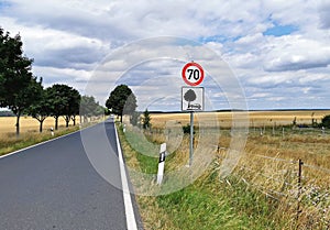 Road sign Attention trees and thus dangerous accident risk for cars