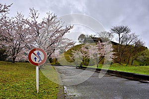 Road and sign board in Sakura field, near Tian porcelain Park, saga-ken, Japan