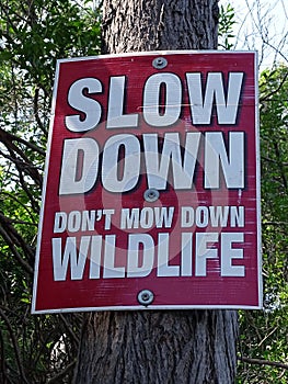 A road sign bolted to a tree requiring people to slow down and don`t mow down wildlife