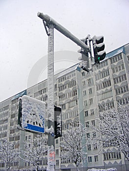 Road sign Crosswalk and traffic light covered snow danger