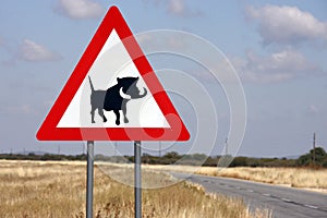 Road sign - Danger Wathogs - Namibia