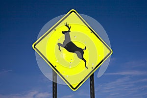Road sign deer crossing