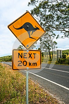 Road sign indicating kangaroos ahead. Australia.