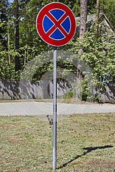 Road sign no parking under blue sky,on green gass. European Union.